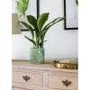 Kew Stoneware Sago Palm Planter 13cm, Olive