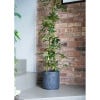 Kew Meadow Planter 18cm, Midnight Blue