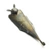 Metal Bat