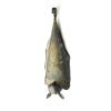 Metal Bat
