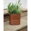 Lifestyle image of Kew Aged Copper Regency Planter with a rosemary plant in it.