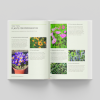 Kew Answers for Everyday Gardeners Double page spread: Top ten plants for propagation