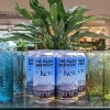 Lifestyle image of the Kew Temperate House Beer, 440ml
