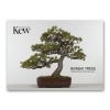 Kew Bonsai Concertina Postcard Set, front