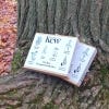 The Kew Drought Friendly Seed Box