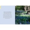 Kew Gardens Nature Journal - sample pages