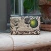 Kew Gardens Lemongrass and Lime Soap
