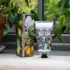 Kew Gardens Magnolia and Pear Hand Cream