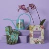 Kew Orchid Indoor Watering Can