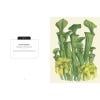 Kew Pocketbooks: Carnivorous Plants - sample pages