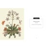 Kew Pocketbooks: Carnivorous Plants - sample pages