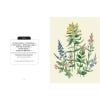 Kew Pocketbooks: Wildflowers - sample pages