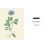 Kew Pocketbooks: Wildflowers - sample pages