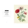 Kew Pocketbooks: Wildflowers - sample pages