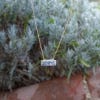 Kew Reconsidered Bar Pendant Necklace