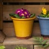 Kew Small Glazed Pot, Yellow