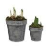 Small and large Kew Zinc Pots