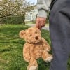 Kewbert the Kew Bear