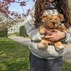 Kewbert the Kew Bear, lifestyle image