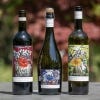 Kew Gardens Wine bottles, lifestyle image