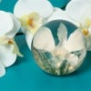 Large White Orchid Paperweight, lifestyle image
