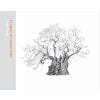 A Legacy of Ancient Oaks - Cover