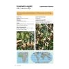 Guide d'Identification des Arbres du Mali - sample page