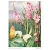 Marianne North Beauties of the Swamps at Tulbagh 1000-Pieces jigsaw puzzle