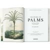 Martius, The Book of Palms, 2 internal pages