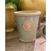Medium Chartwell Kew Long Tom Planter Flower Pot from Terrace & Garden, lifestyle image