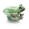 Metal Frog