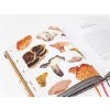 Mushroom Color Atlas: A Guide to Dyes and Pigments Made from Fungi