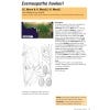 Field Guide to the Rattans of Africa - Sample pages