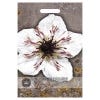 Nigella papillosa African Bride Seed Packet