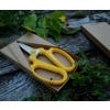 Japanese Flower Scissors
