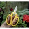 Japanese Flower Scissors