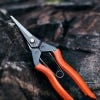 Niwaki Garden Snips, lifestyle image