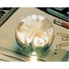 Large White Orchid Paperweight