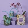 Kew Orchid Gardening Gloves - lifestyle image