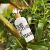 Bottle featured amongst leaves in the Palm House at Royal Botanic Gardens, Kew.