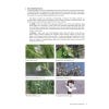 Field Guide to the Plants of Northern Botswana - sample page
