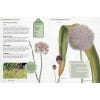 Kew Gardener's Guide to Growing Bulbs - inside page