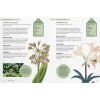 Kew Gardener's Guide to Growing Bulbs - inside page