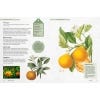 Kew Gardener's Guide to Growing Fruit- inside page