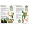 Kew Gardener's Guide to Orchids - inside page