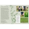 Kew Gardener's Guide to Orchids - inside page