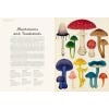 Fungarium - inside page
