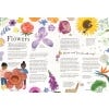Page from Grow, Forage and Make
