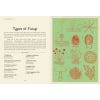 Fungarium mini edition - inside page