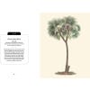 Kew Pocketbooks: Festive Flora - sample page